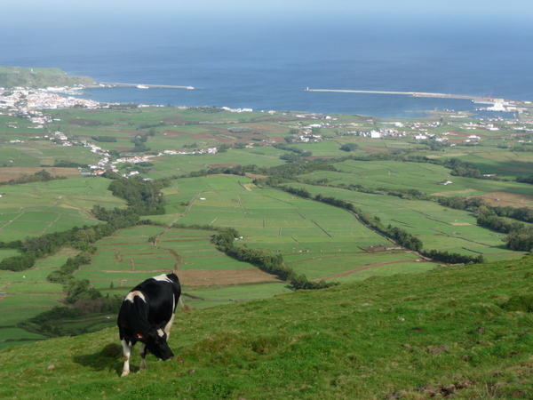 azores12.jpg