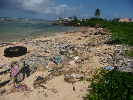 m_trash_beach.jpg