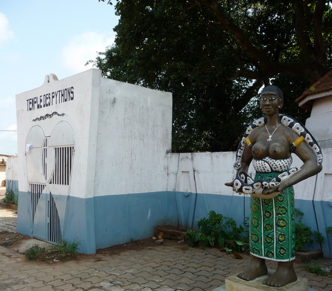 benin-python.jpg